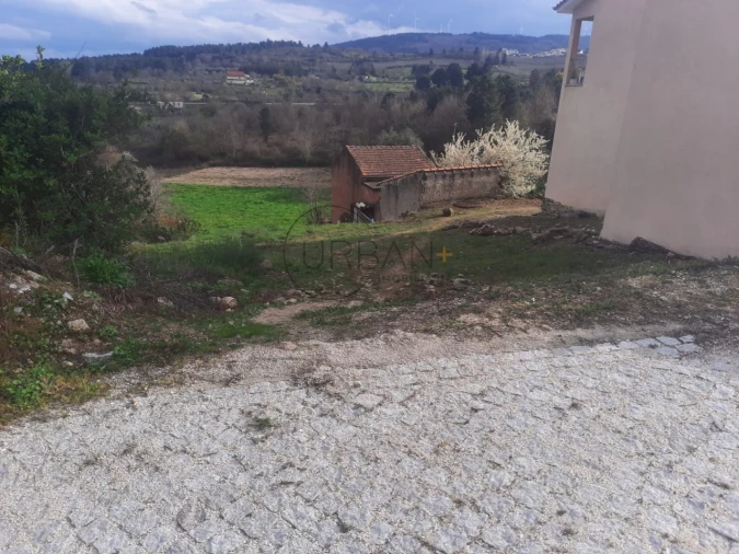 Terreno para Venda em Moimenta da Beira Foto 2