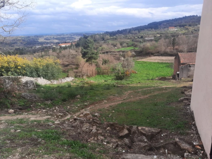 Terreno para Venda em Moimenta da Beira Foto 3