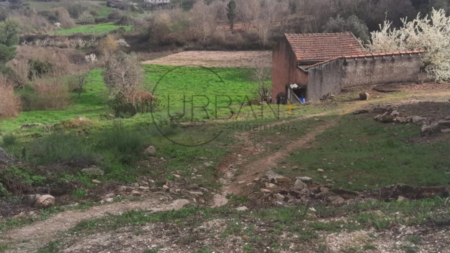 Terreno para Venda em Moimenta da Beira