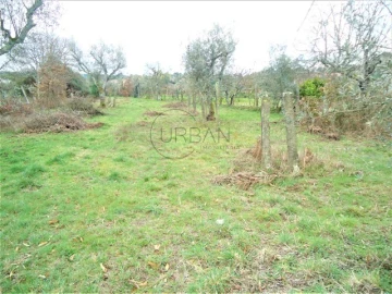 Terreno para Venda em Bodiosa