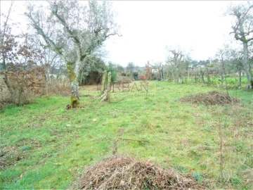 Terreno para Venda em Bodiosa