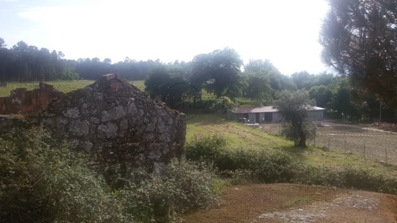 Terreno para Venda em Silgueiros Foto 4