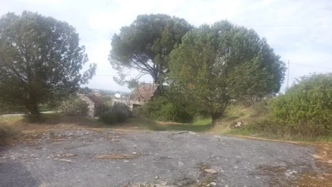 Terreno para Venda em Silgueiros