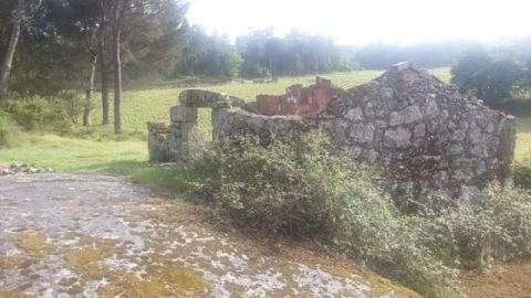 Terreno para Venda em Silgueiros