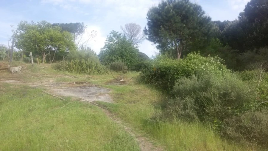 Terreno para Venda em Silgueiros Foto 2