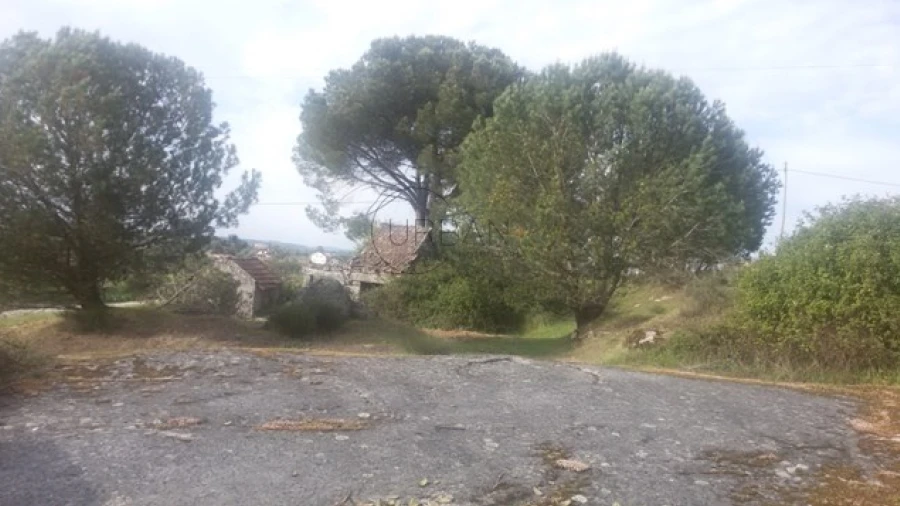 Terreno para Venda em Silgueiros