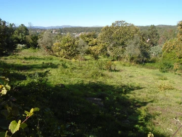 Terreno para Venda em Orgens