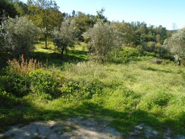 Terreno para Venda em Orgens