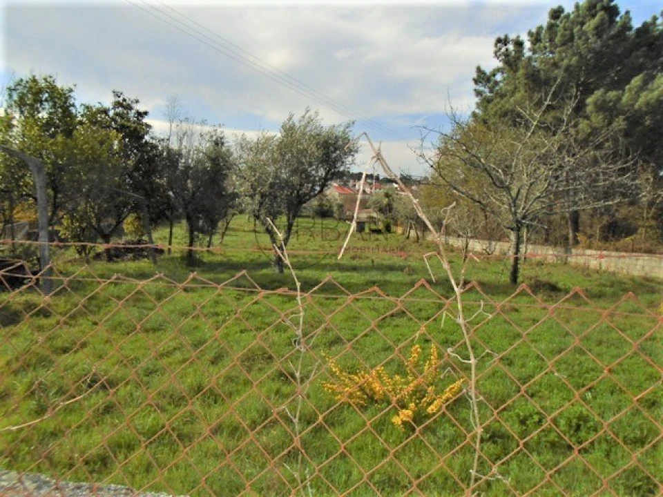 Terreno para Venda em Repeses e São Salvador Foto 2