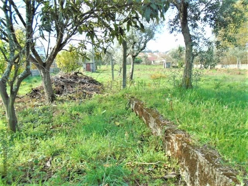 Terreno para Venda em Repeses e São Salvador Foto 3