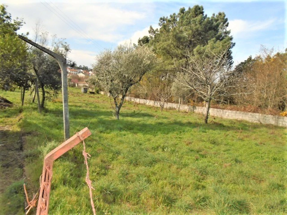 Terreno para Venda em Repeses e São Salvador Foto 4