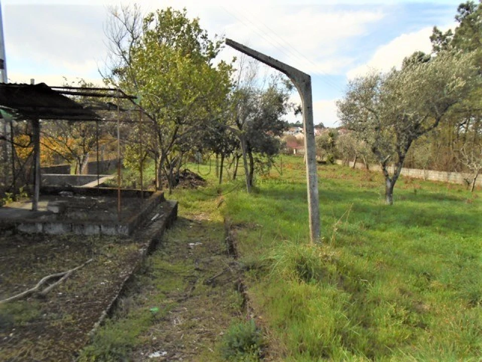 Terreno para Venda em Repeses e São Salvador Foto 5