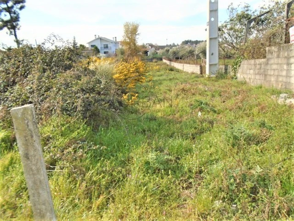 Terreno para Venda em Repeses e São Salvador Foto 6