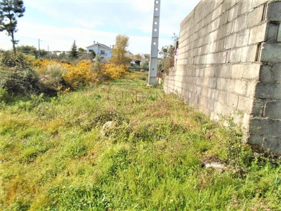 Terreno para Venda em Repeses e São Salvador Foto 9