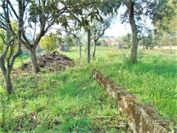 Terreno para Venda em Repeses e São Salvador