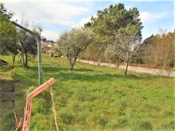 Terreno para Venda em Repeses e São Salvador