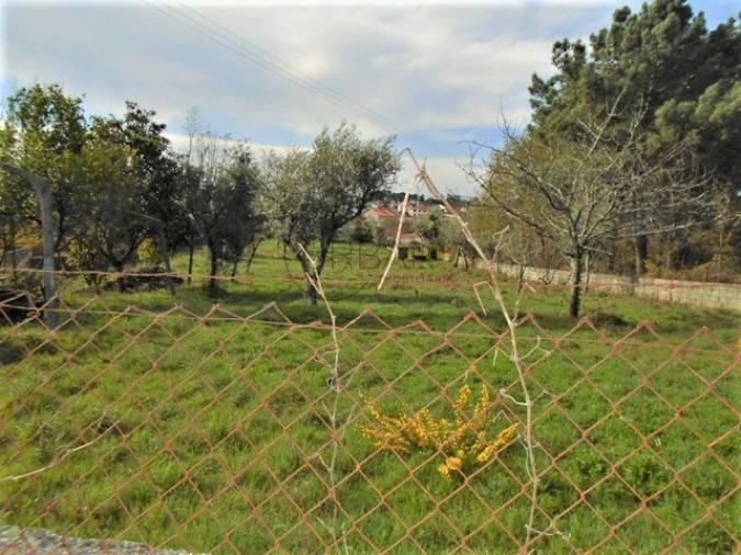 Terreno para Venda em Repeses e São Salvador Foto 2
