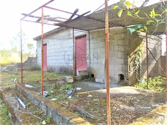 Terreno para Venda em Repeses e São Salvador Foto 7