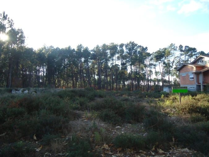 Terreno para Venda em Lordosa