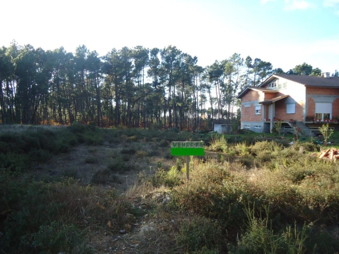 Terreno para Venda em Lordosa Foto 2