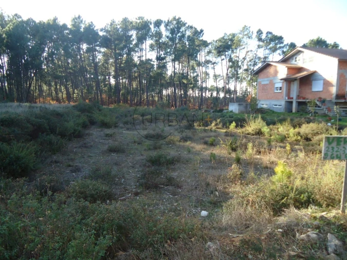 Terreno para Venda em Lordosa Foto 3