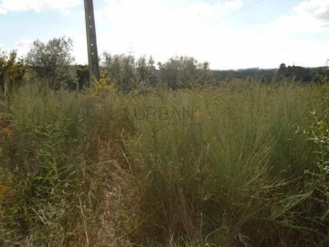 Terreno para Venda em Rio de Loba
