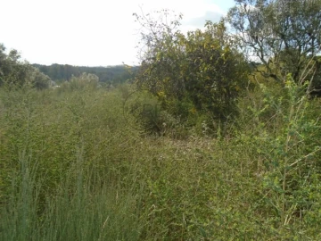 Terreno para Venda em Rio de Loba