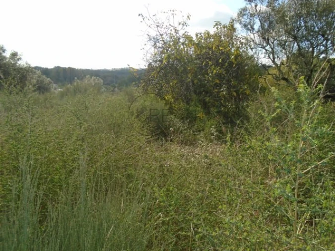 Terreno para Venda em Rio de Loba Foto 3