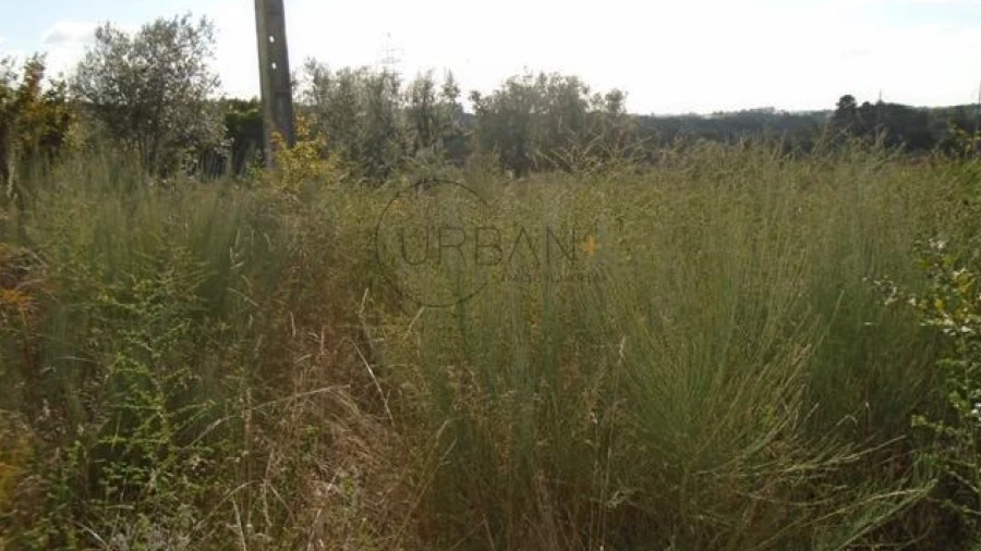Terreno para Venda em Rio de Loba