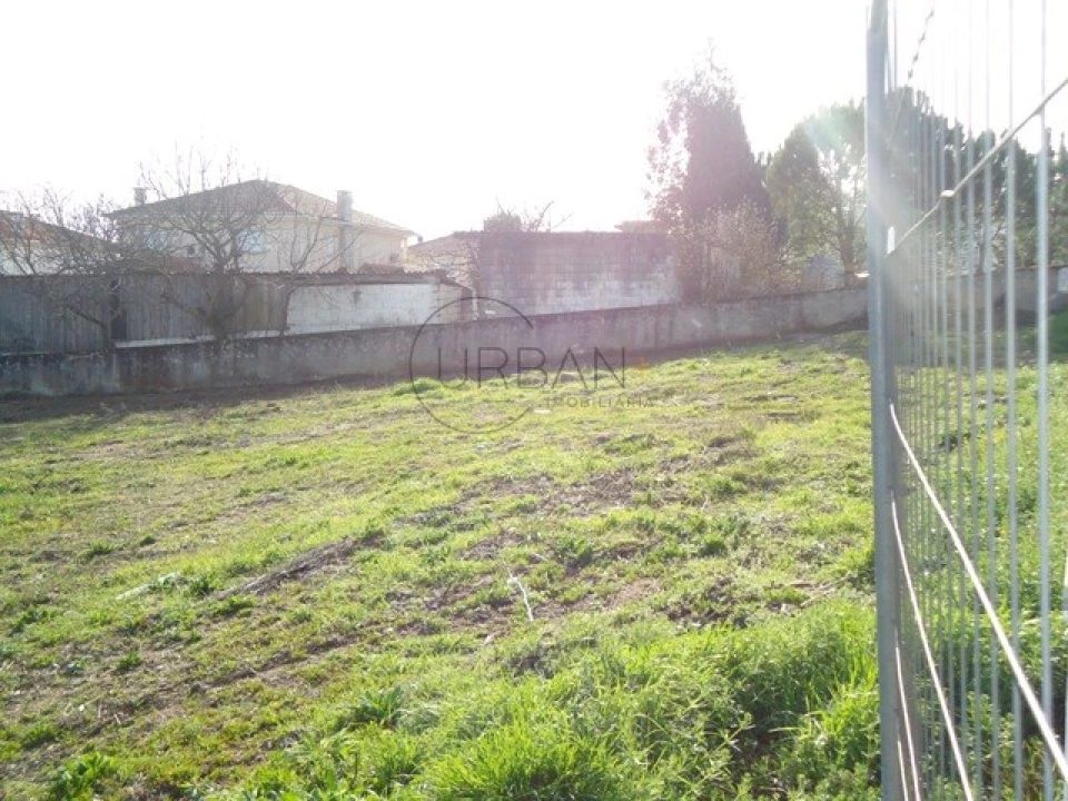 Terreno para Venda em Rio de Loba Foto 3