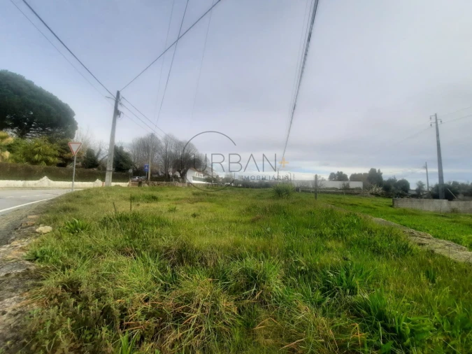 Terreno para Venda em Mundão Foto 4