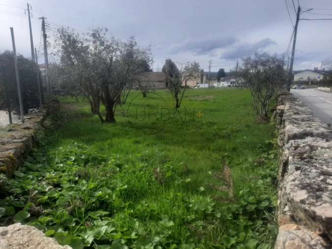 Terreno para Venda em Mundão Foto 7