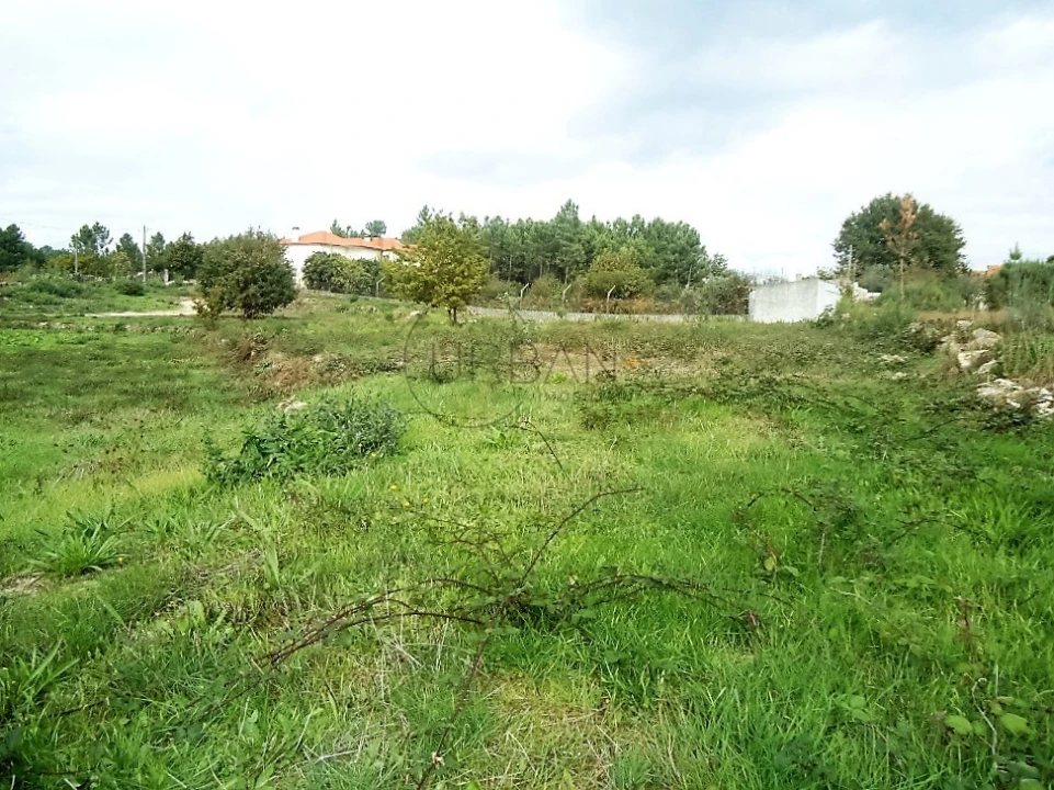 Terreno para Venda em Rio de Loba Foto 1