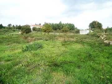Terreno para Venda em Rio de Loba