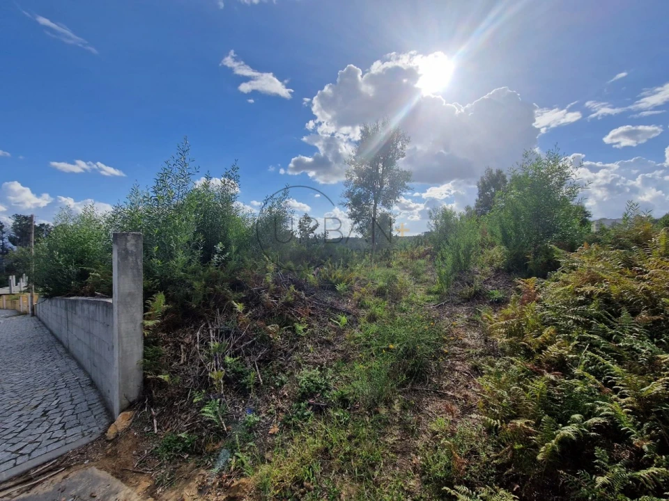 Terreno para Venda em Cavernães Foto 2