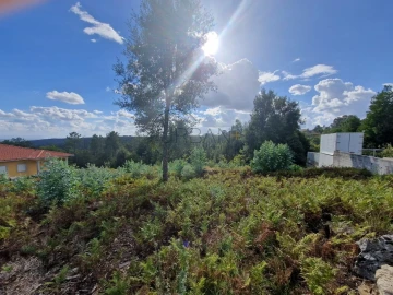 Terreno para Venda em Cavernães