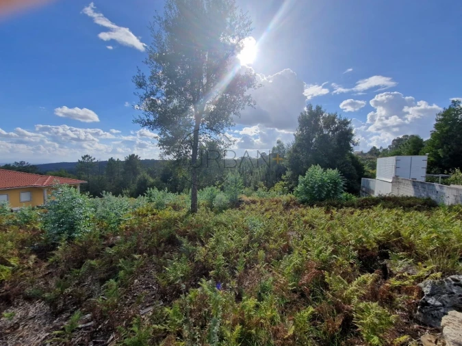 Terreno para Venda em Cavernães Foto 3