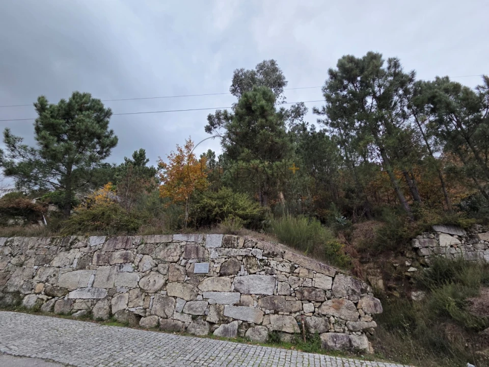 Terreno para Venda em Castro Daire Foto 5
