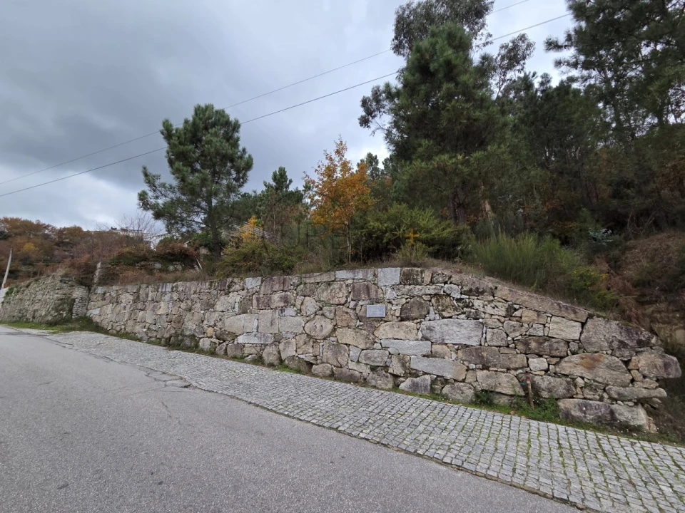 Terreno para Venda em Castro Daire Foto 4