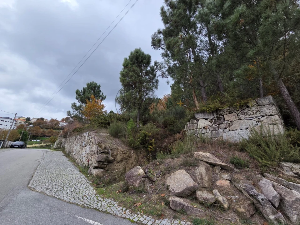 Terreno para Venda em Castro Daire Foto 6