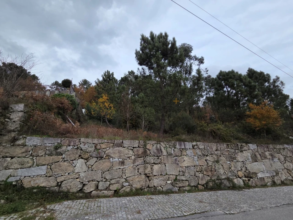 Terreno para Venda em Castro Daire Foto 2