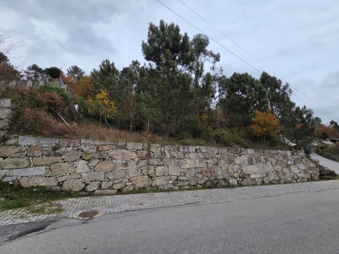 Terreno para Venda em Castro Daire Foto 1