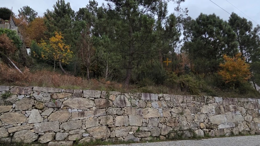 Terreno para Venda em Castro Daire