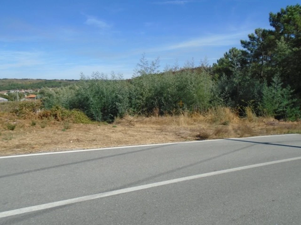 Terreno para Venda em Bodiosa Foto 1