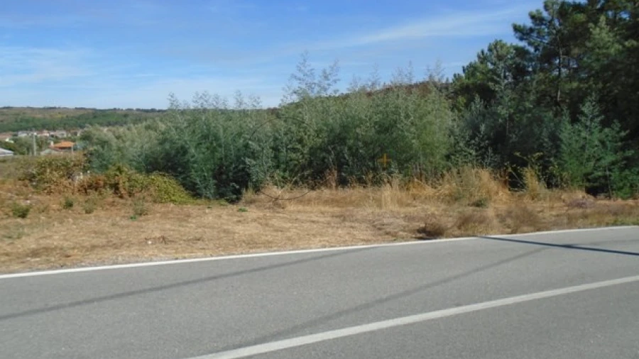 Terreno para Venda em Bodiosa