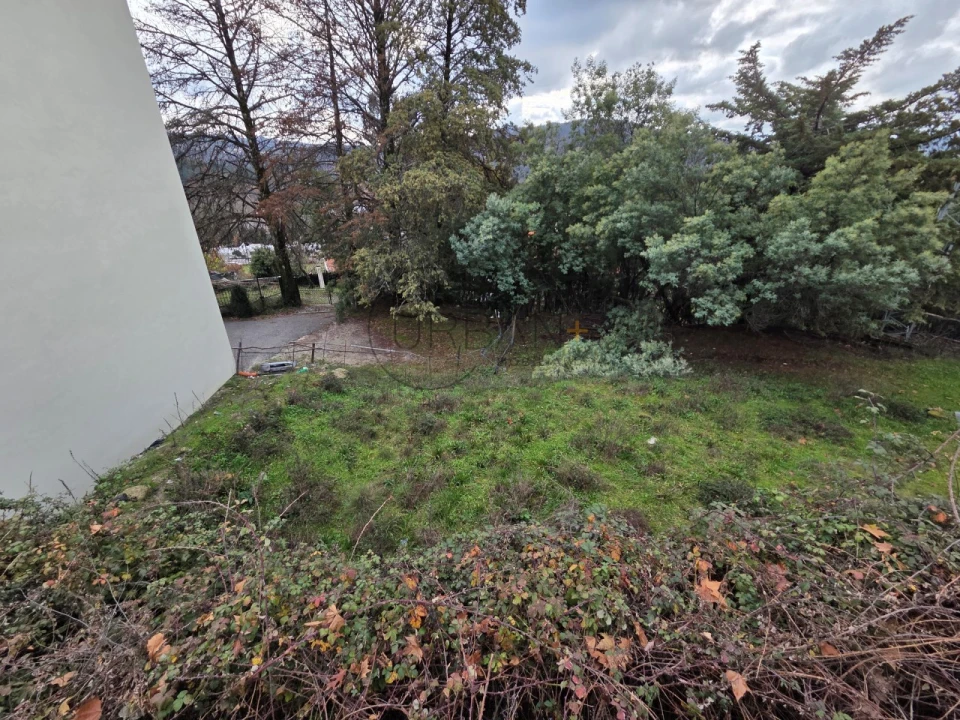 Terreno para Venda em Castro Daire Foto 1