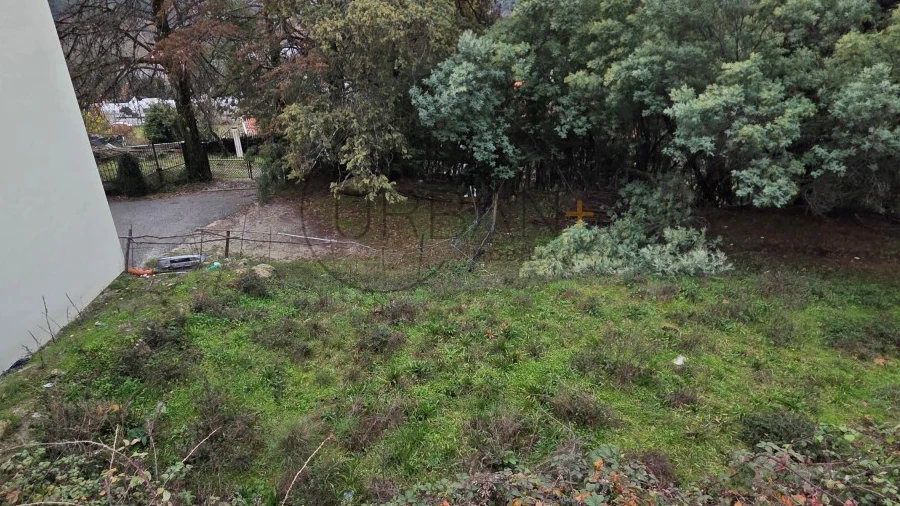 Terreno para Venda em Castro Daire