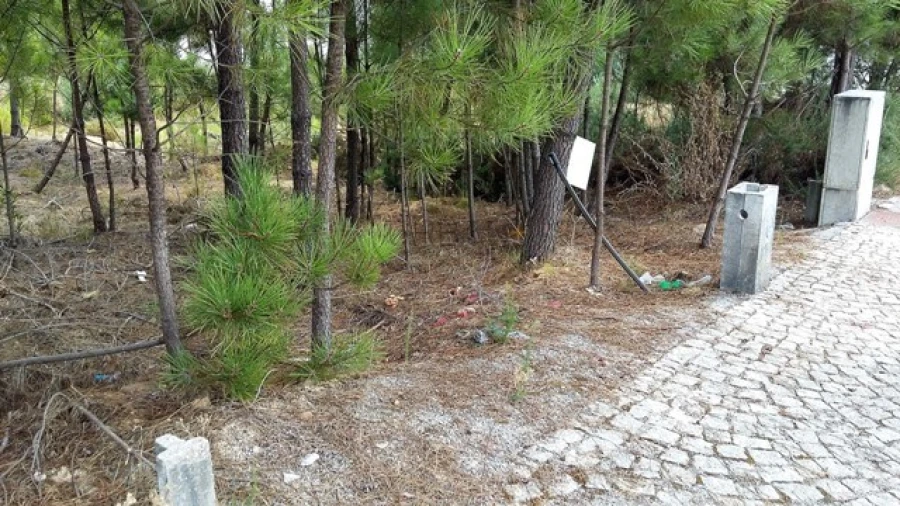 Terreno para Venda em Mundão Foto 2