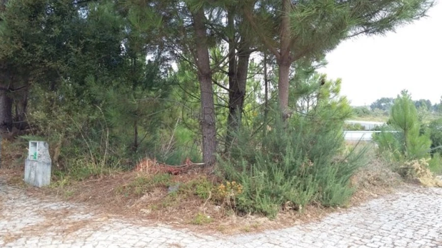 Terreno para Venda em Mundão