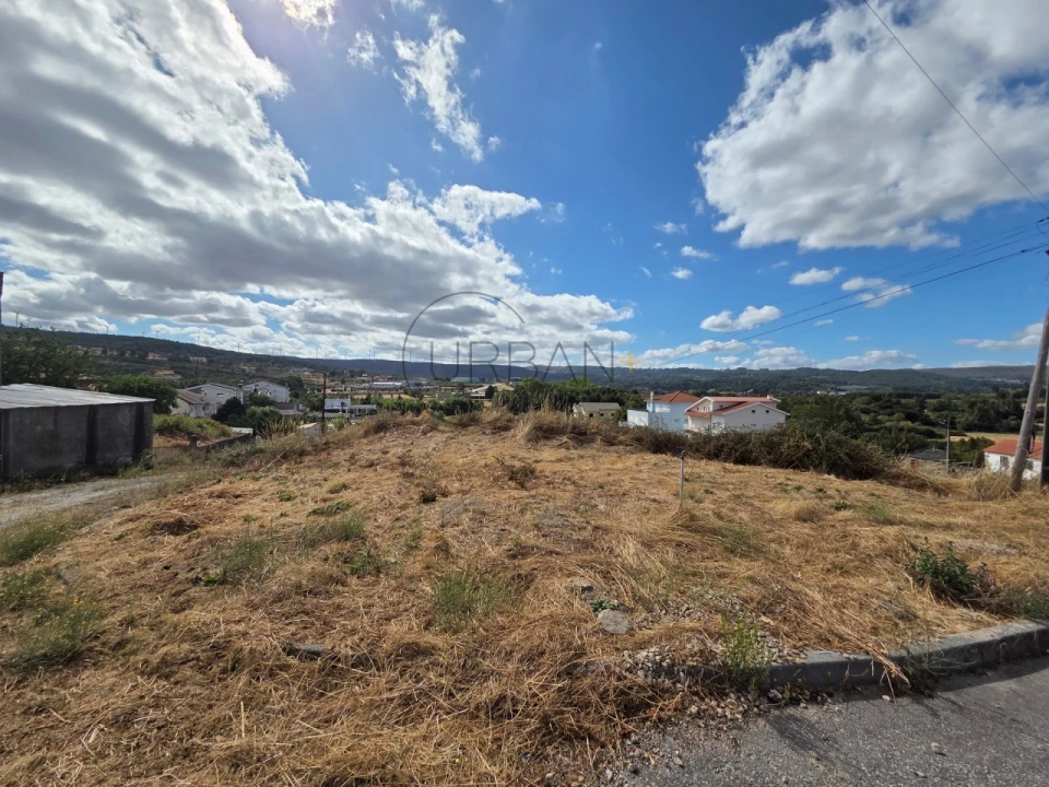 Terreno para Venda em Moimenta da Beira Foto 2